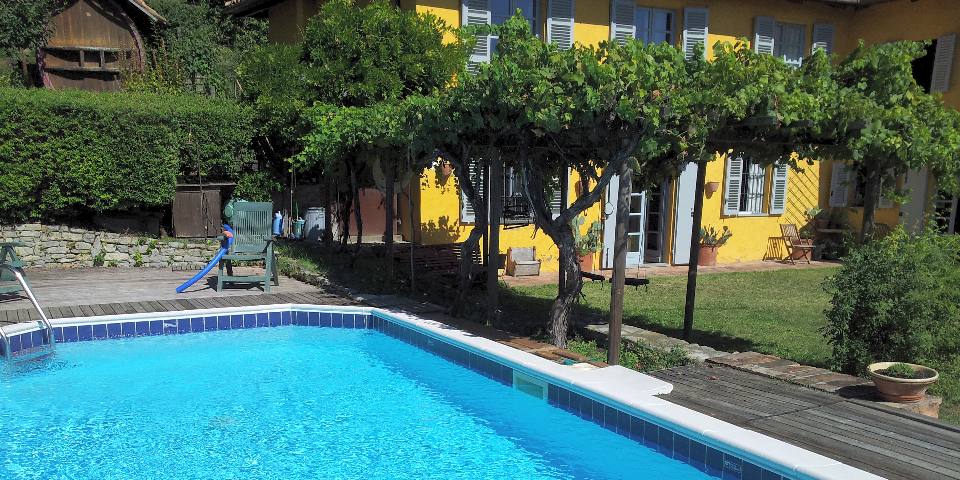 
			The swimming pool, with a row of vines and the house beyond
			