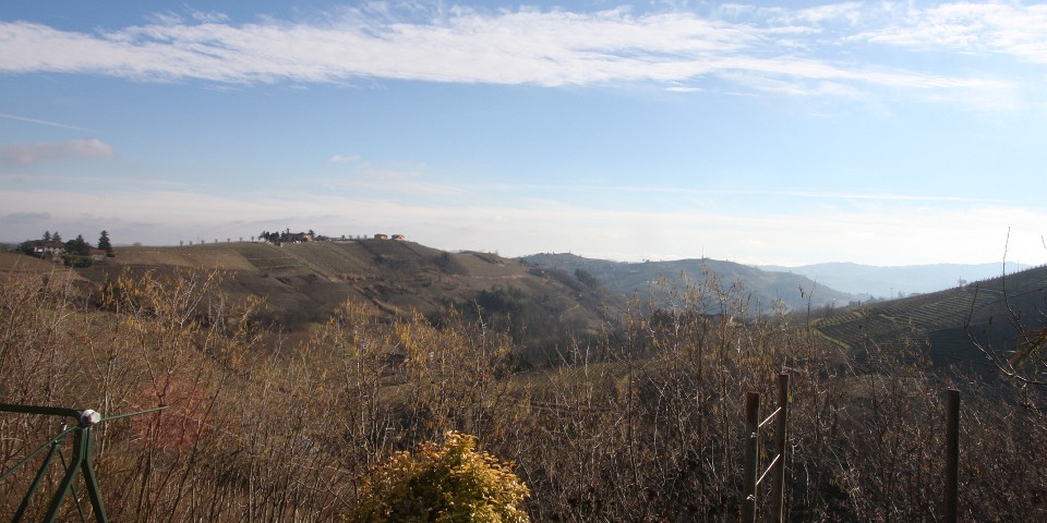 
			The view from the house over the surrounding vineyards in winter
			
