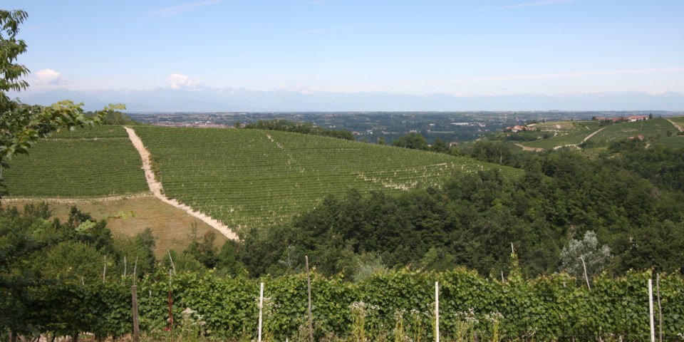 
			Die wunderbare Aussicht vom Haus in Richtung Westen. In der Ferne sieht man die französischen Alpen
			