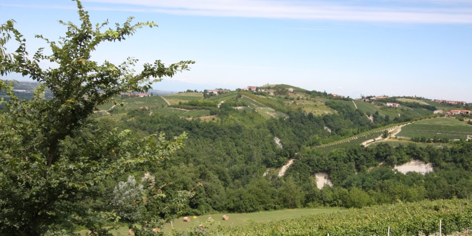 
			Die schöne Aussicht über den zum Besitz gehörenden Dolcetto Weinberg und die Langhe Weinhügel 
			