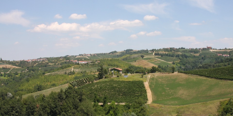 
			Der Besitz - im Zentrum des Bildes - vom gegenüberliegenden Hügel aus gesehen. Der kleinere der beiden Weinberge gehört zum Besitz
			