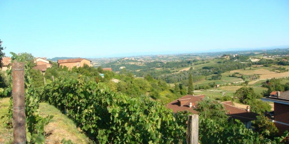 
			Der kleine Barbera d'Asti Weinberg befindet sich unter der Villa
			