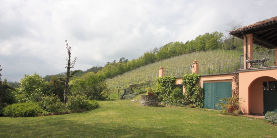 
			The garden with the vineyard beyond
			