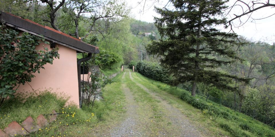 
			The driveway leading to the house belongs to the property
			