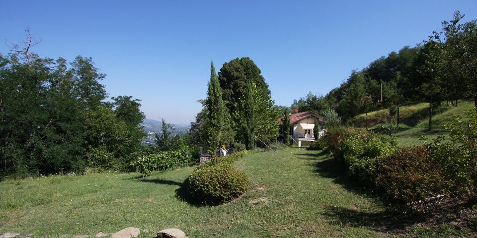 
			Der schöne, in Terrassen angelegte Garten bietet viel Platz für einen Swimmingpool
			